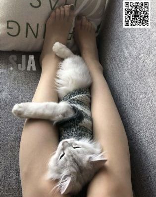 国产精品欧美一区二区二区二区_1080超清在线观看