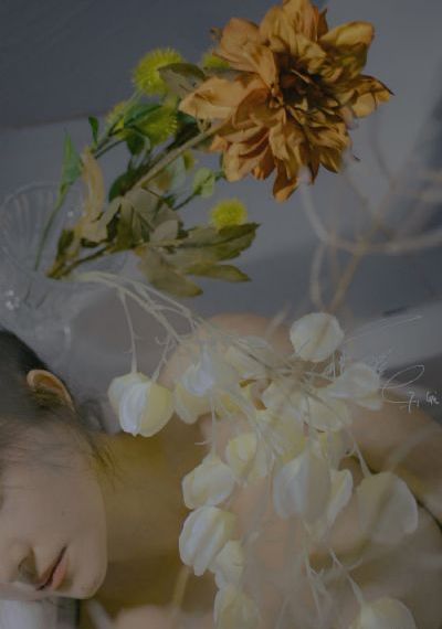 三级精品视频在线播放_1080P免费观看视频